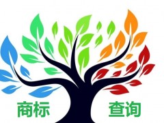 如何應對商標查詢盲期？
